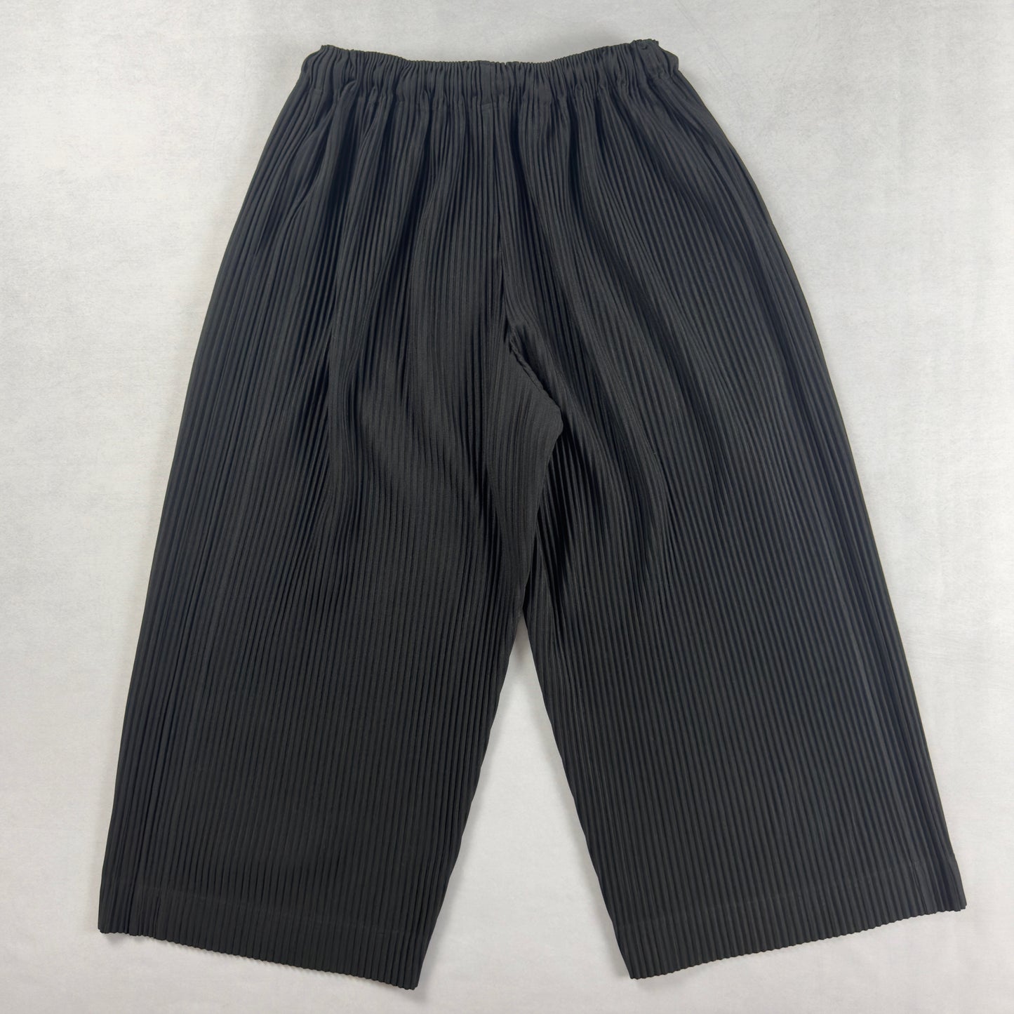 Homme Plissé Issey Miyake 2022 Wide Pants (1)