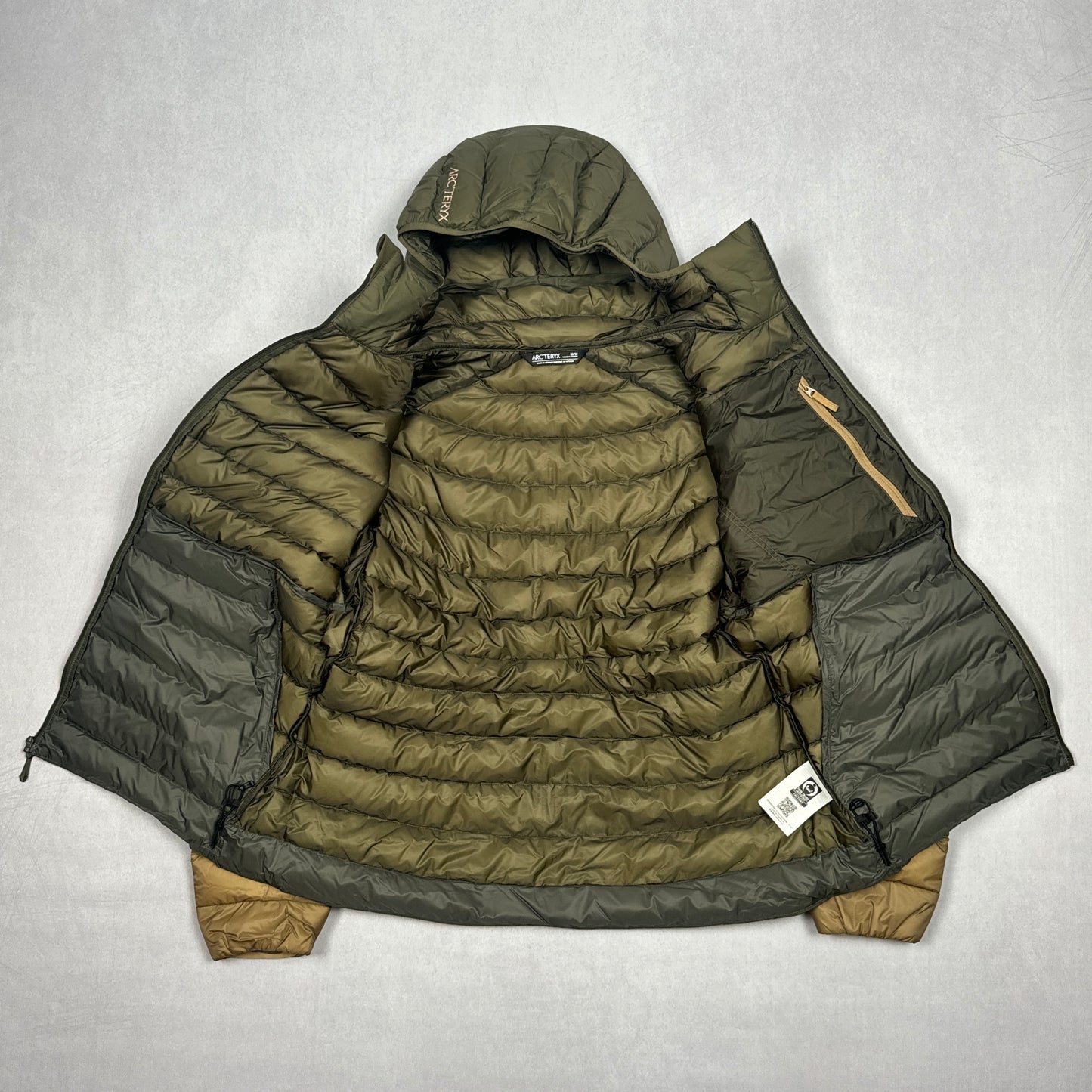 Cerium Hooded Down Jacket (Tatsu/Canvas/Forage)