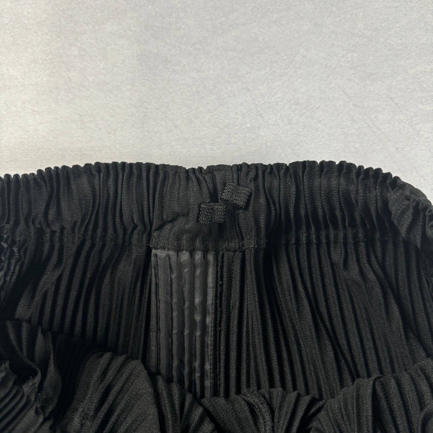 Homme Plissé Issey Miyake 2022 Wide Pants (1)