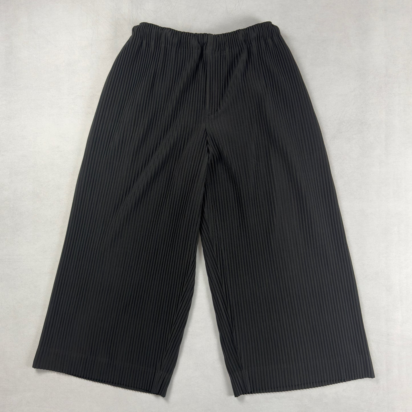 Homme Plissé Issey Miyake 2022 Wide Pants (1)