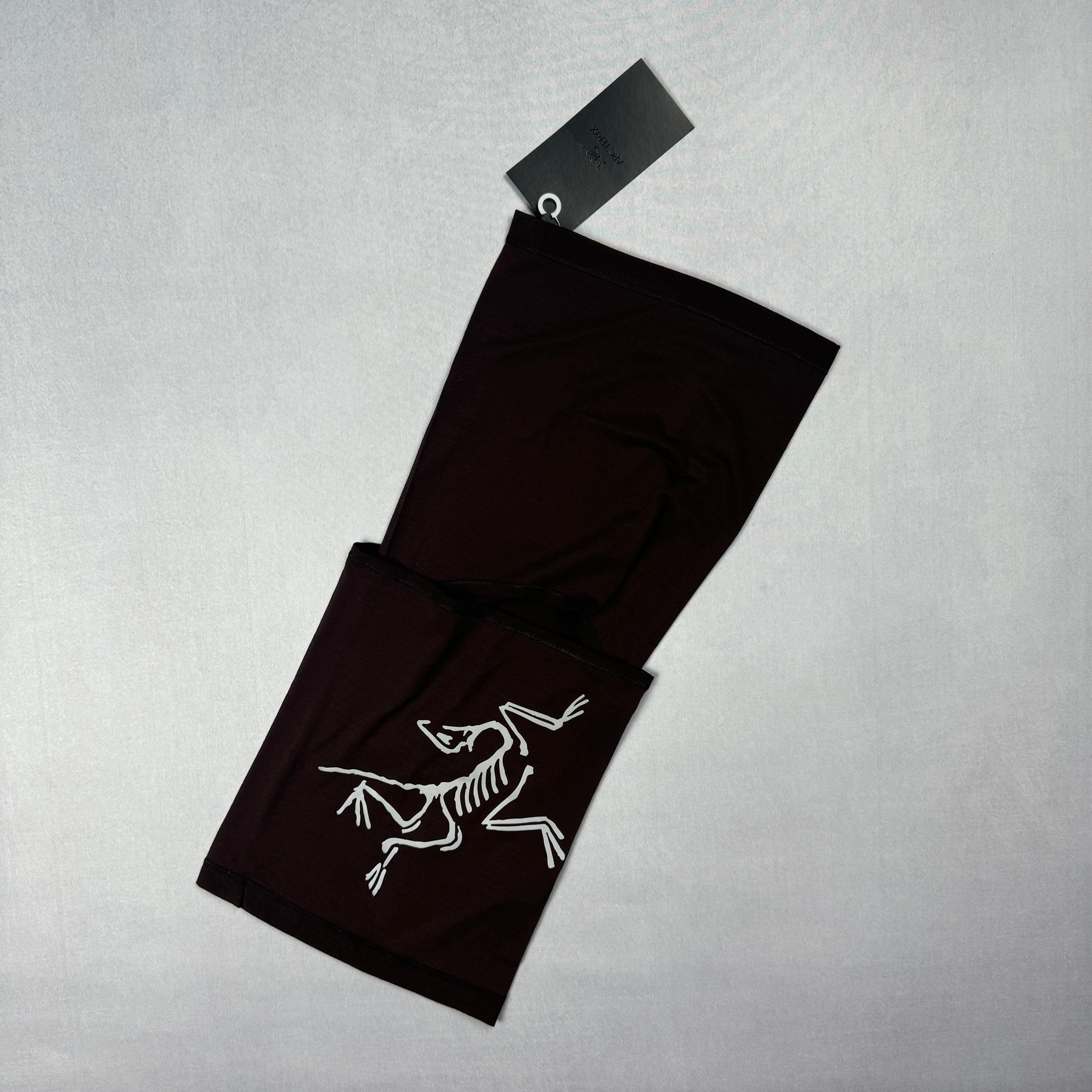 Arc'teryx Norvan Balaclava – Archivetitus